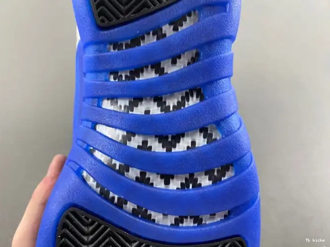 Reps TBK 12 CT8013-140 Jordan Blueberry Air 0604